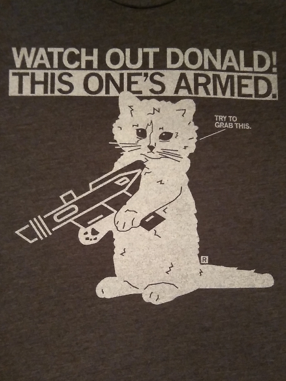 Humorous Cat Graphic Tee